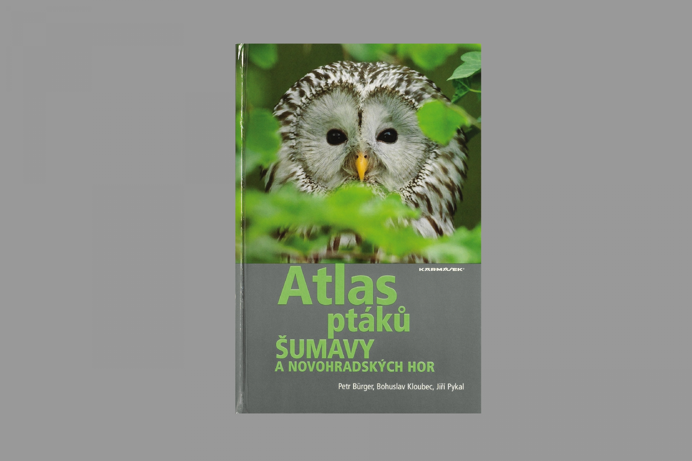 Atlas ptáků Šumavy a Novohradských hor + CD